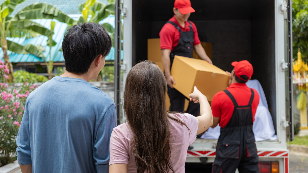 Professional Furniture Movers