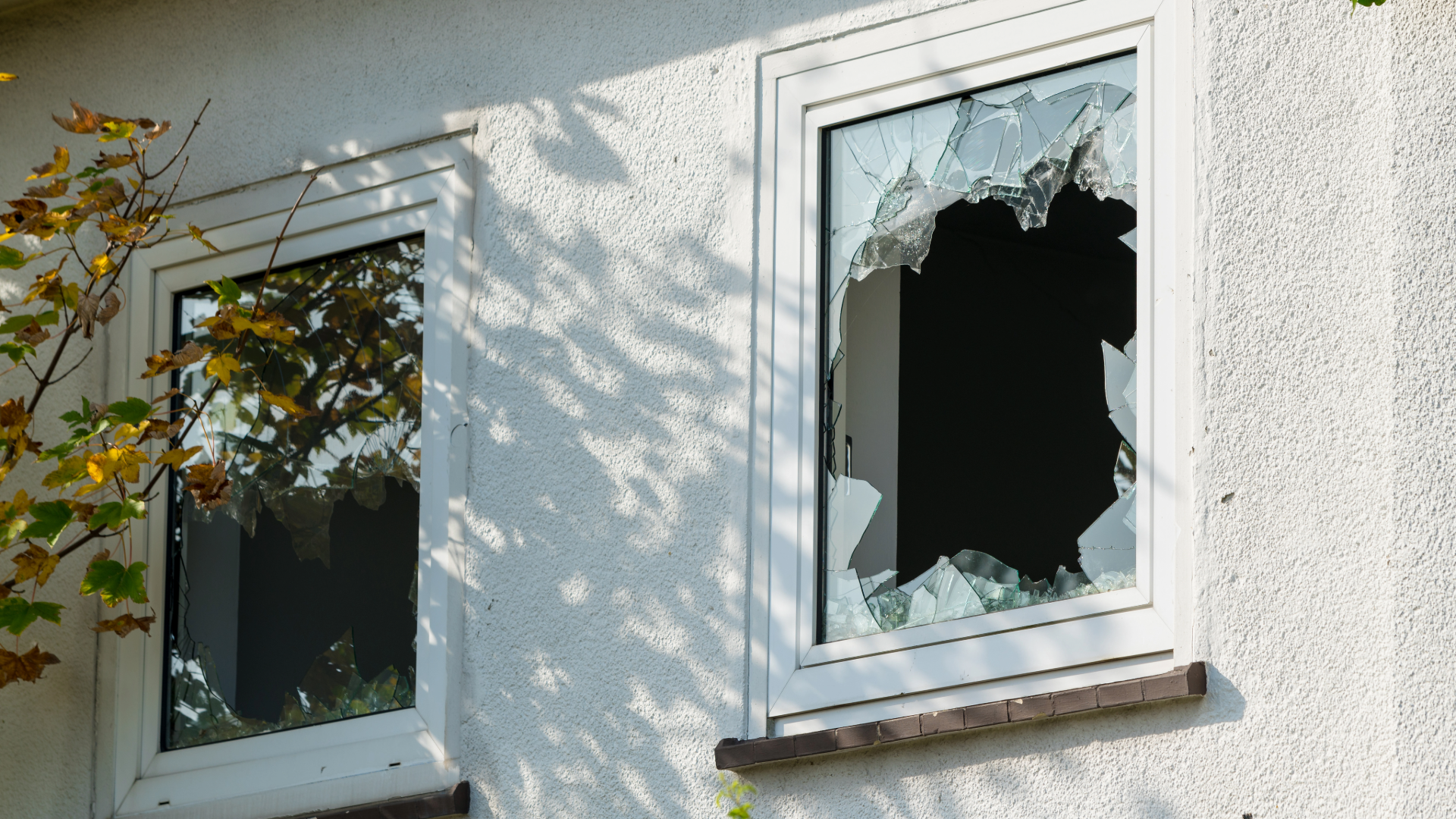Tempered Glass